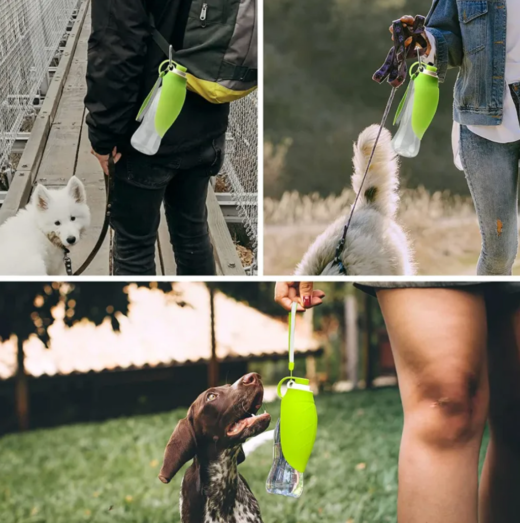 Portable Pet Water Bottle