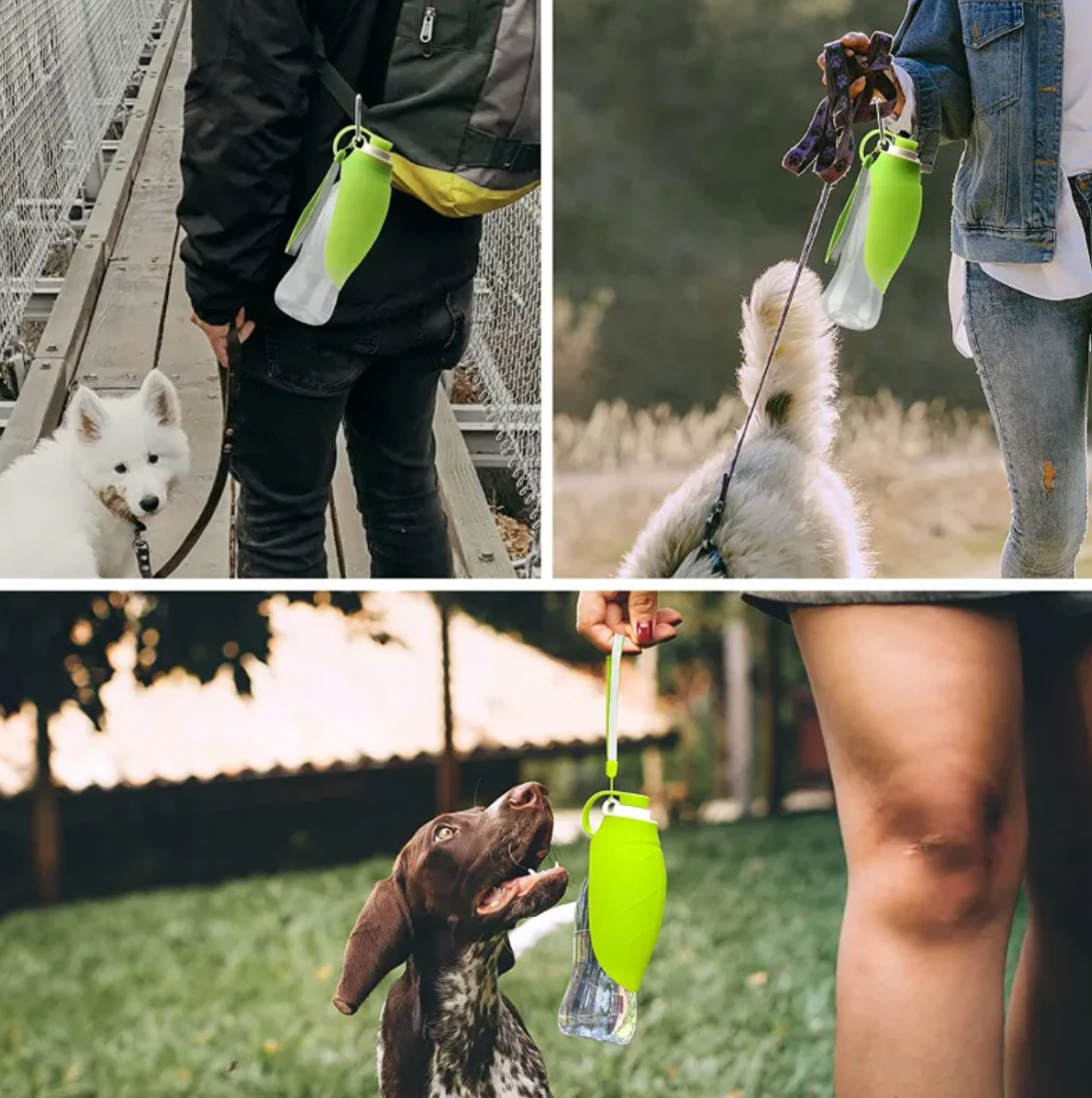 Portable Pet Water Bottle