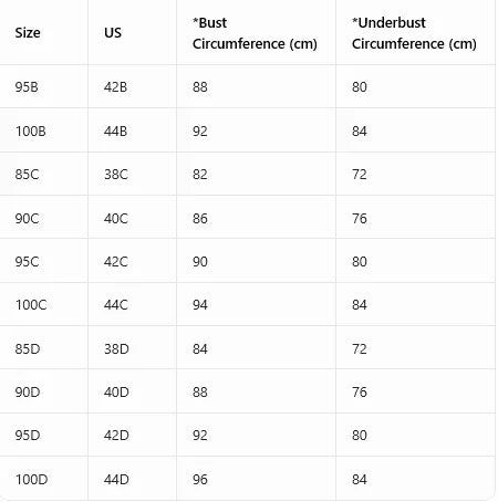 Plus Size Women's B C D Lace Bra Wide Straps Side Support Comfort Underwire Push Up Bra Breast Strap Detail Bralette