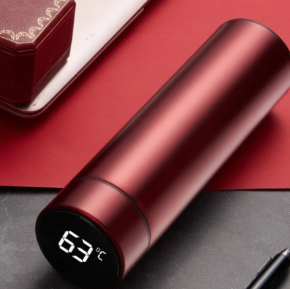 Smart Insulation Cup Water Bottle